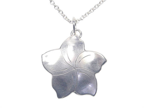 Plumeria