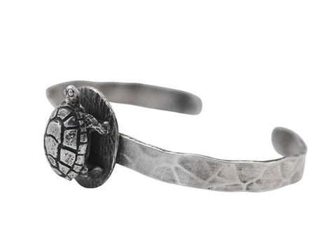 Eastern Painted Turtle