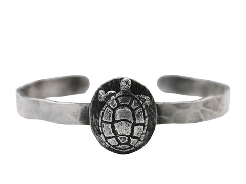 Eastern Painted Turtle