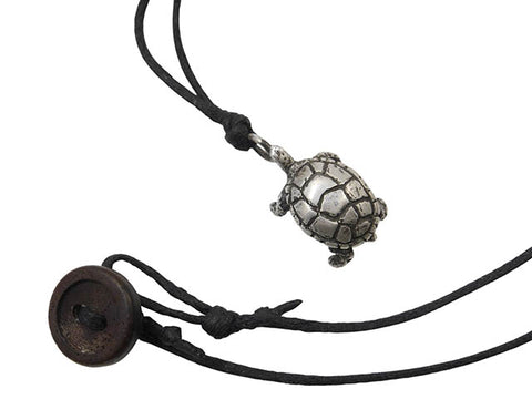 Eastern Painted Turtle