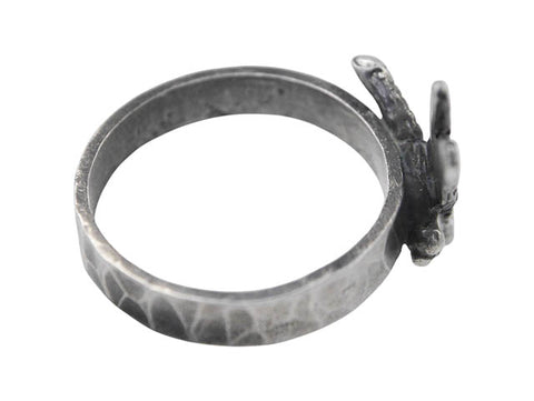 Green Darner Dragonfly