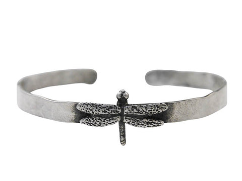 Green Darner Dragonfly