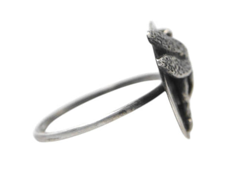 Green Darner Dragonfly on Pond