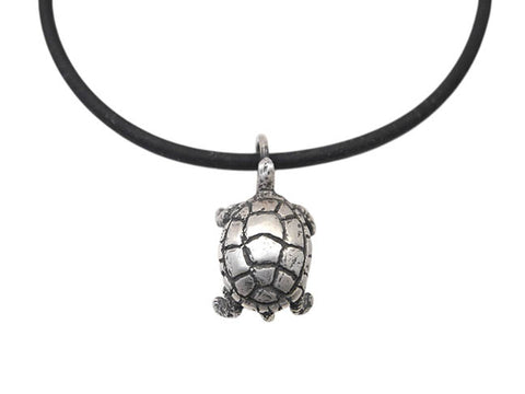 Eastern Painted Turtle