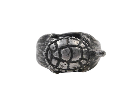 Eastern Painted Turtle on Log (size 7)